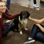 Photo of students petting a dog