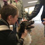 Students pet a therapy dog