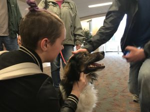 Students pet a therapy dog