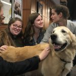 Students pet a therapy dog