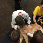 Students petting a dog
