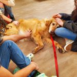 Photo of dog and students